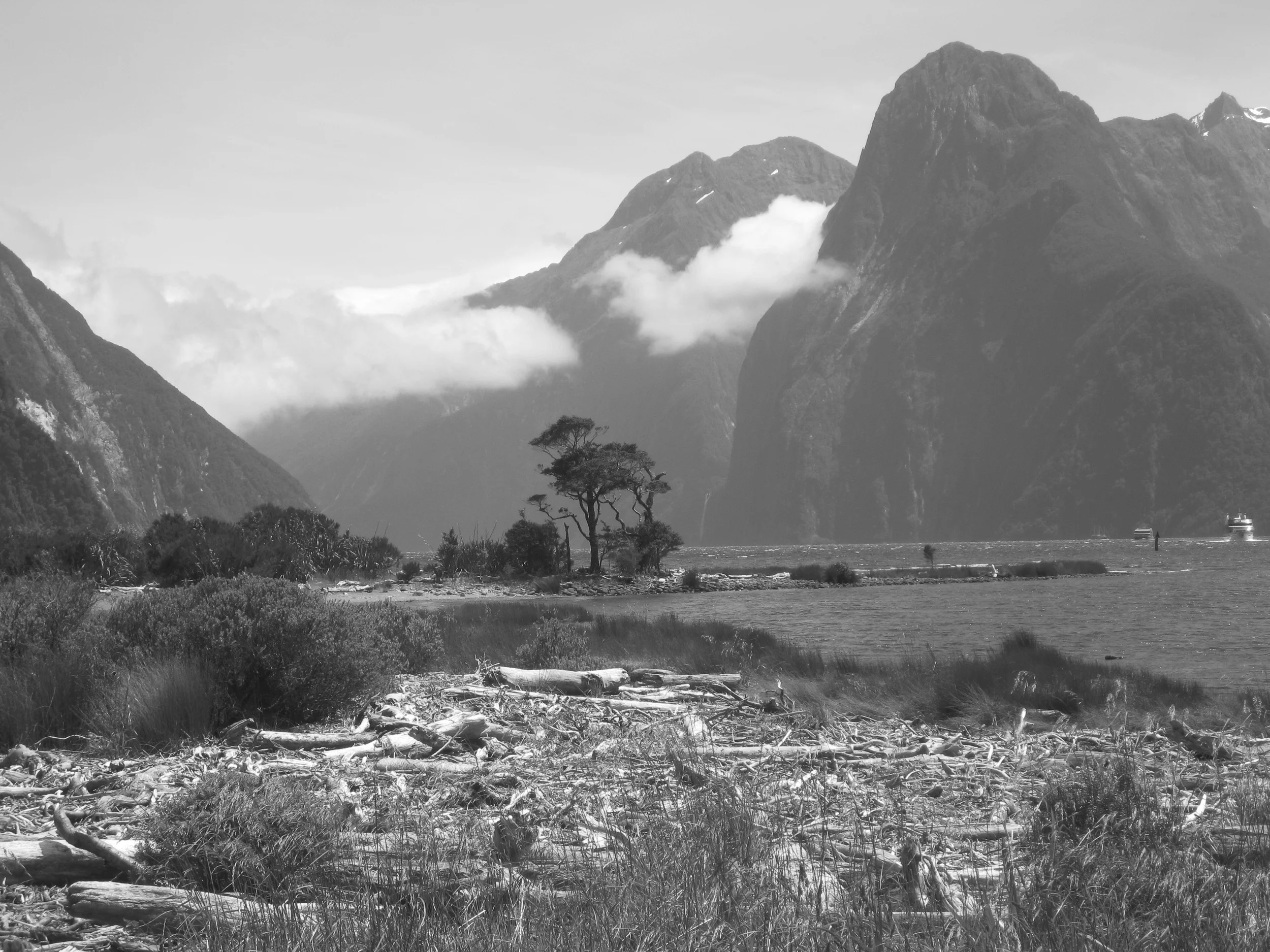 Milford Sound, New Zealand