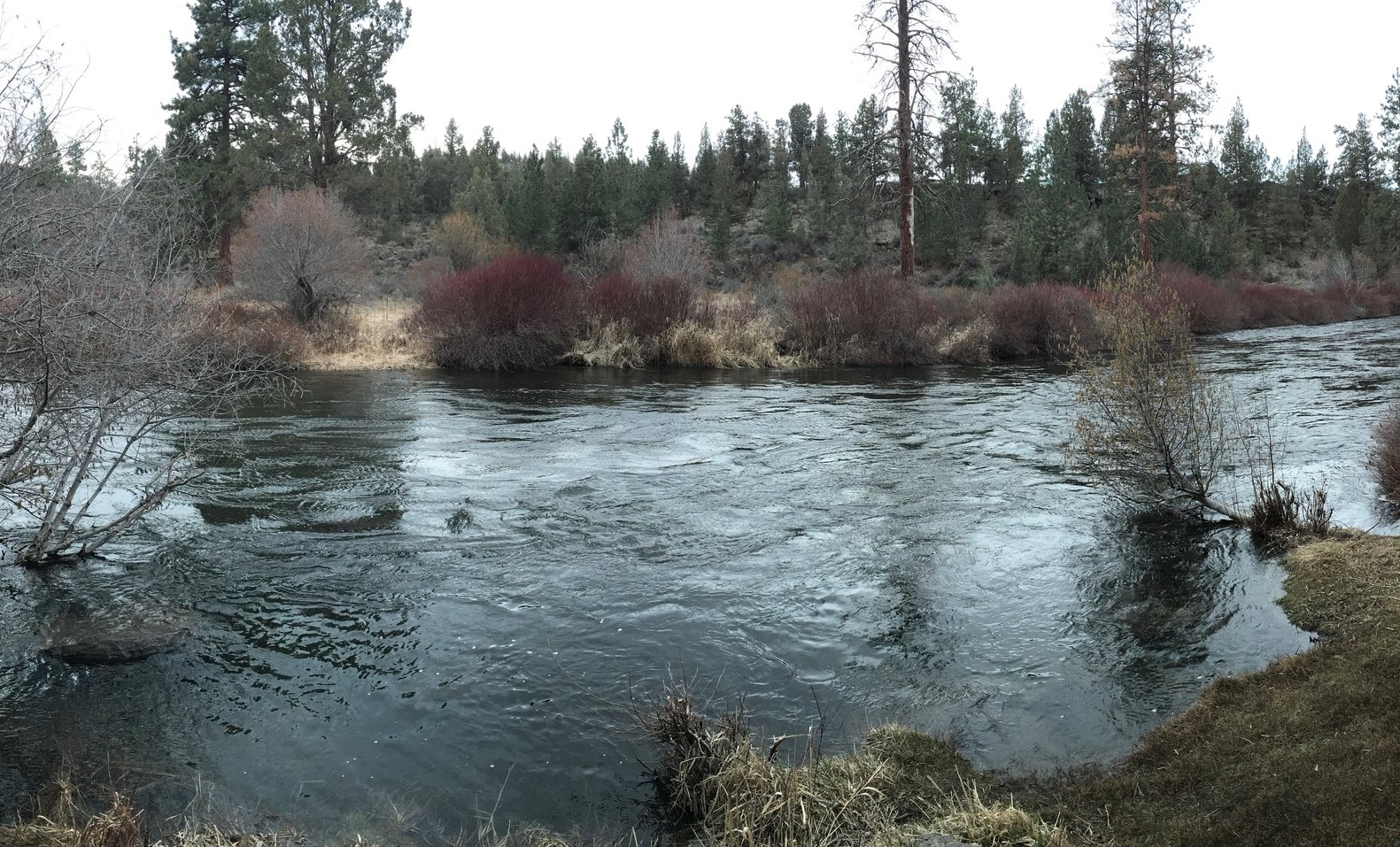 Tumalo State Park in Bend
