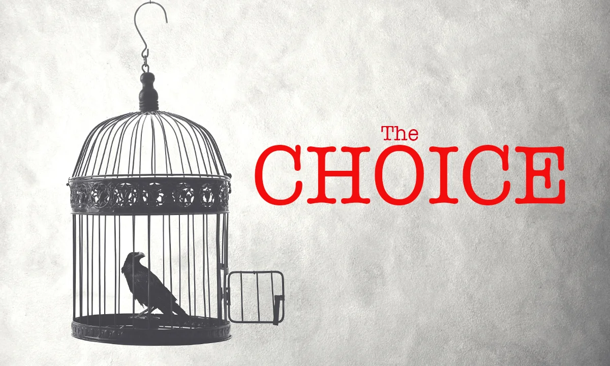 The Choice version 2.jpg