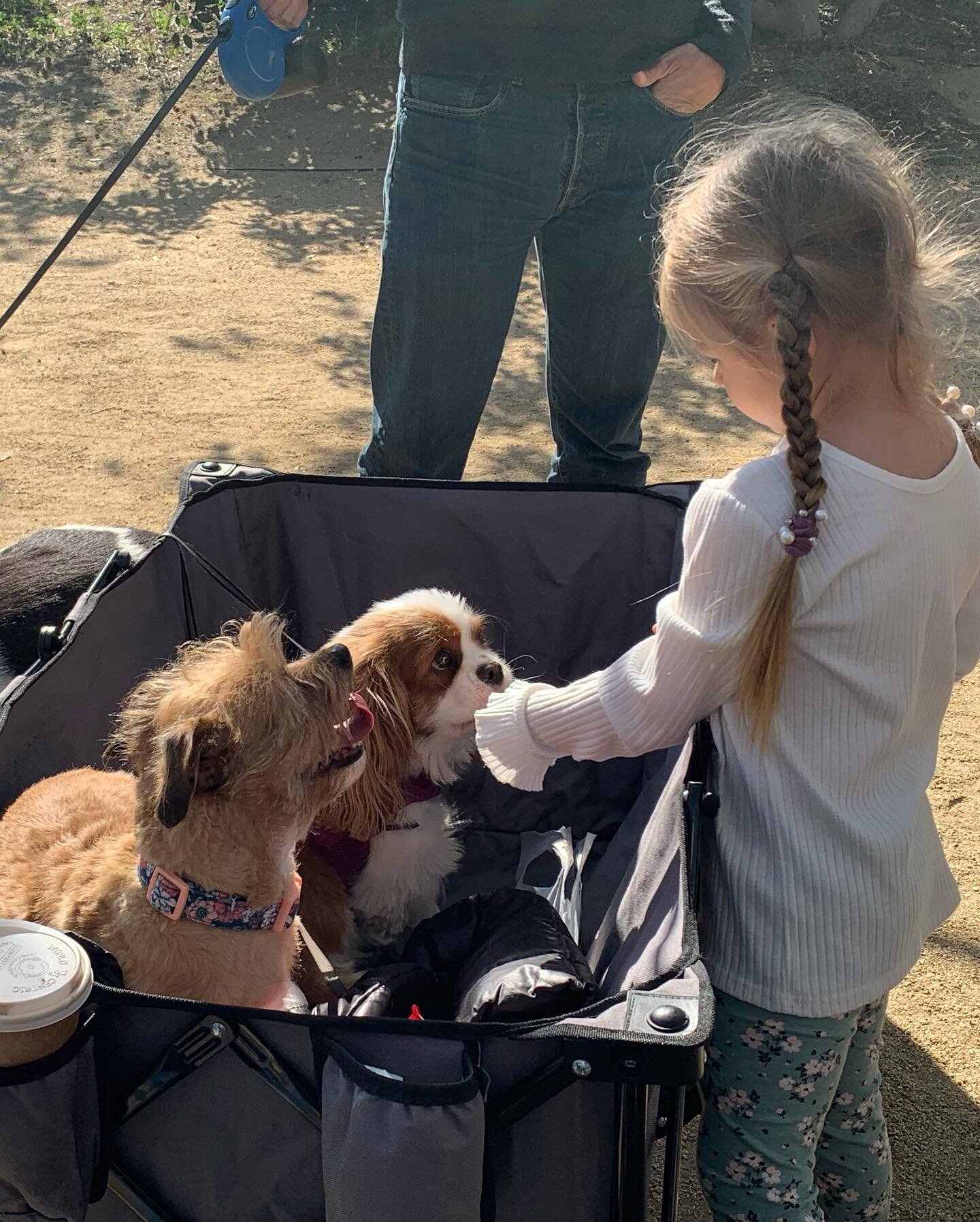 @malibufarmersmarket #fordogs #sunshine #treats