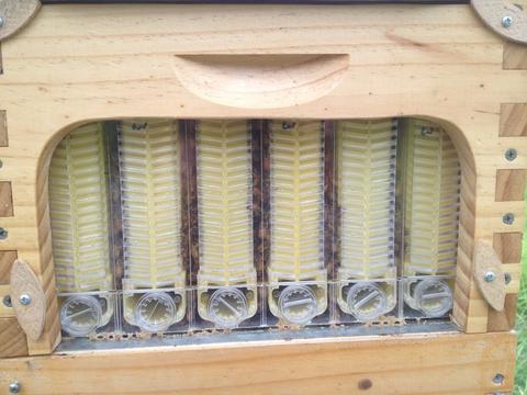 End view before filling