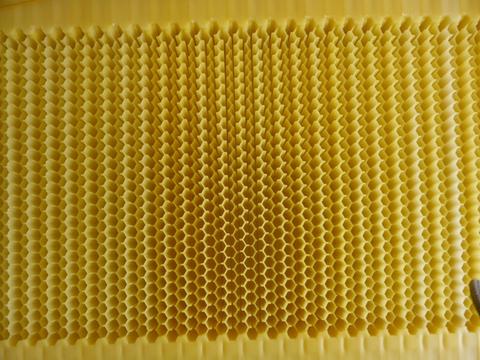The frame before the bees have been given an opportunity to work it. Note that the cells are all aligned