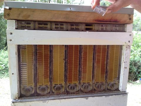 The end plug at the top of the frame is removed to allow insertion of a metal bar