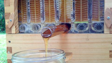 Honey flows freely frame the Flow™ frame