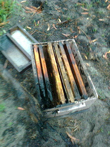 One hive body left from two loads destroyed by fire