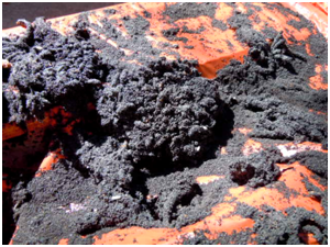 Wax moth faeces – an extreme example