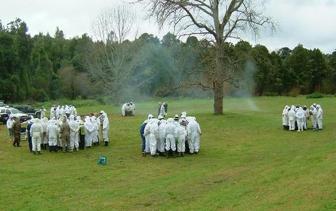 Some of the 120 beekeepers at the Buzz Weekend, checking hives. Smoke from a ‘fogger’ (used to treat hives with mineral oil against Varroa) can be seen in the background