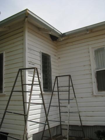Swarms can build comb in awkward places