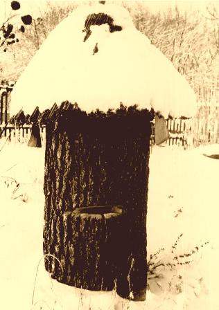 Simple form of Klotzbeuten - a beehive in a tree trunk