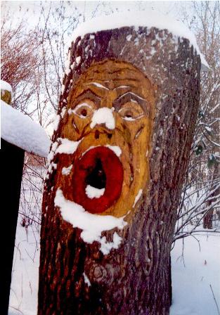 Even in winter, under snow, the bees will survive in this Klotzbeute