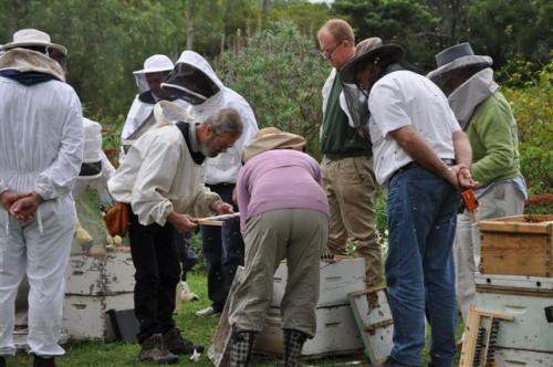 A Hive of Activity