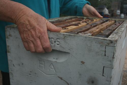 Standard bee-box design, with handhold. The handhold can cause problems with Carpel Tunnel Syndrome developing, and also can make lifting difficult, imposing strain on your back.
