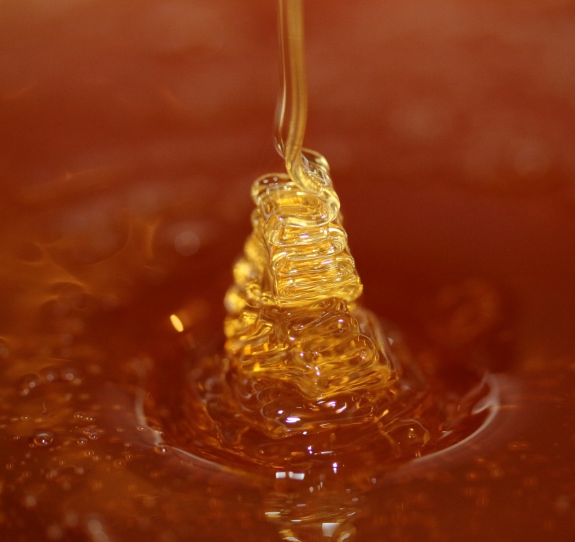 Honey – the liquid gold produced by the honey bee and cherished by the beekeeper Photo courtesy Sarah Asis Sha’Non