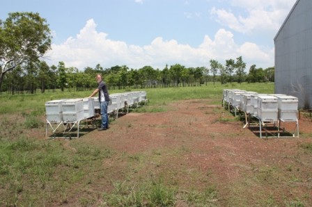 Tas Festing, with his beehives, at Humpty Doo, in the Northern Territory (see Inside article)