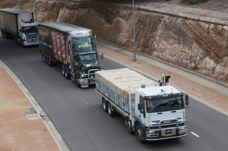 Lead trucks in the 40+ strong ‘bee truck convoy’ which paraded through Canberra and around Parliament House as part of the campaign on March 2 to convince Federal Government to fund a continued eradication programme for the Asian bee incursion in Qld
