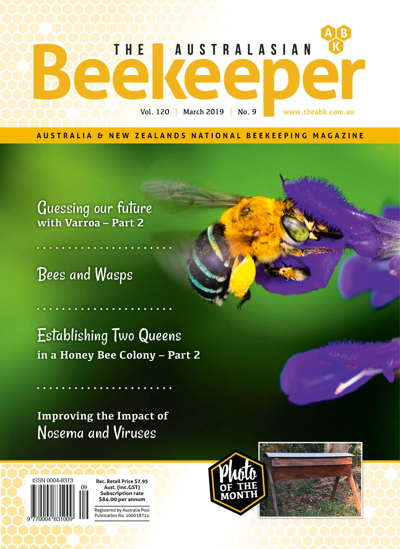 120_9 ABK Cover LR.jpg