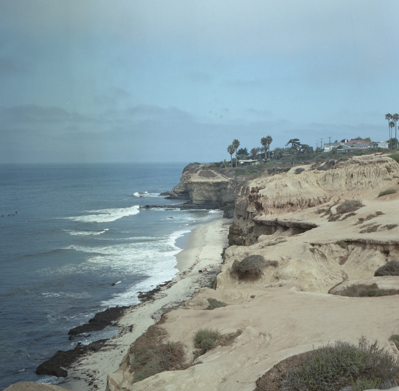 Screen Shot 2020-08-23 at 2.53.38 PM.png