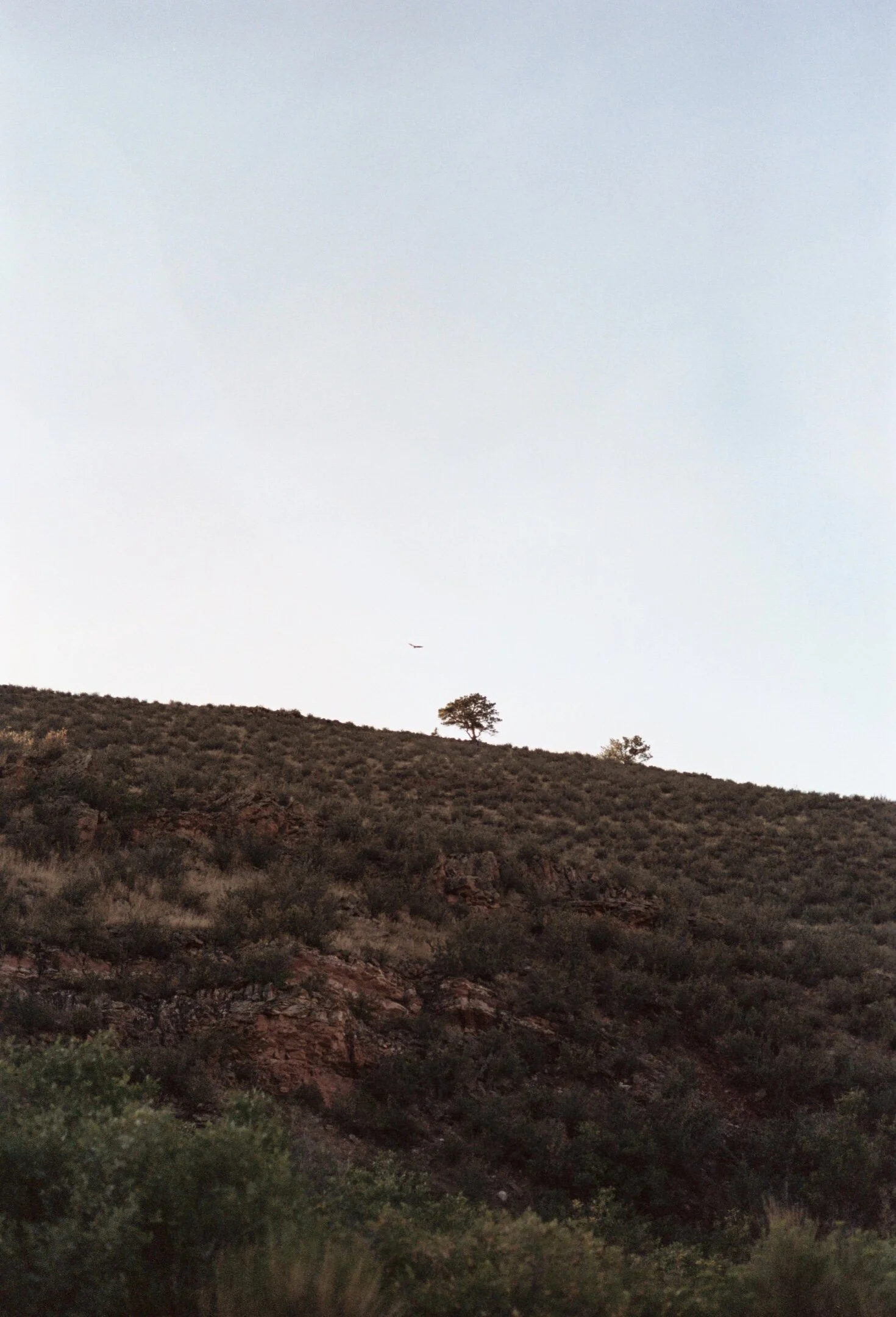 gAA008A.jpg