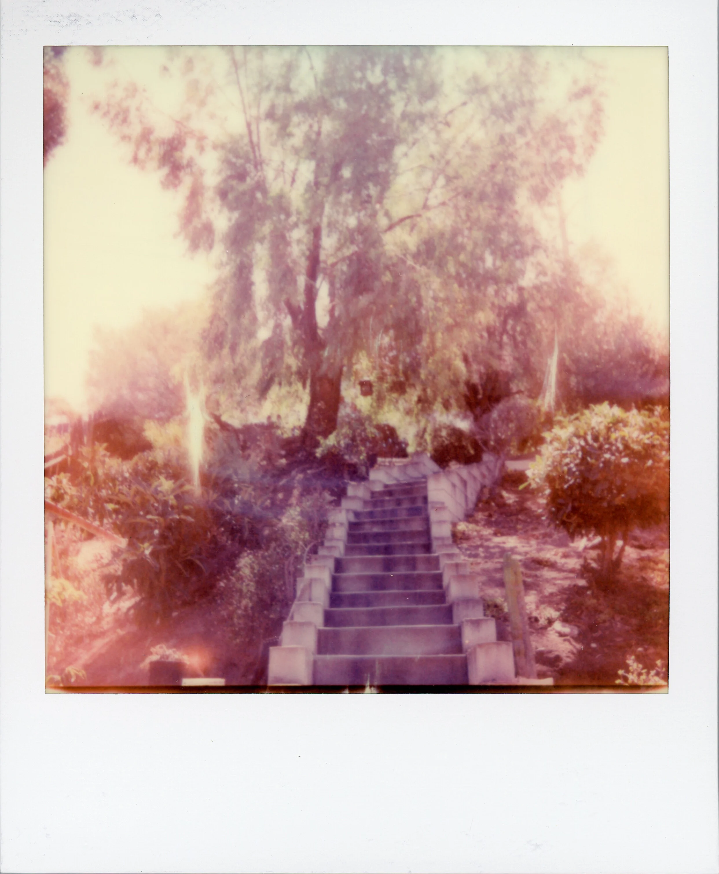 cali polaroid004.jpg