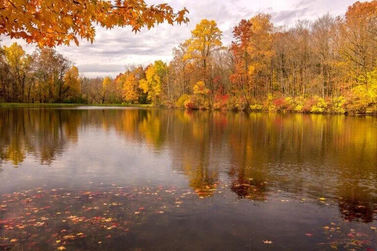 The 15 Best Fall Foliage Trips in the U.S.