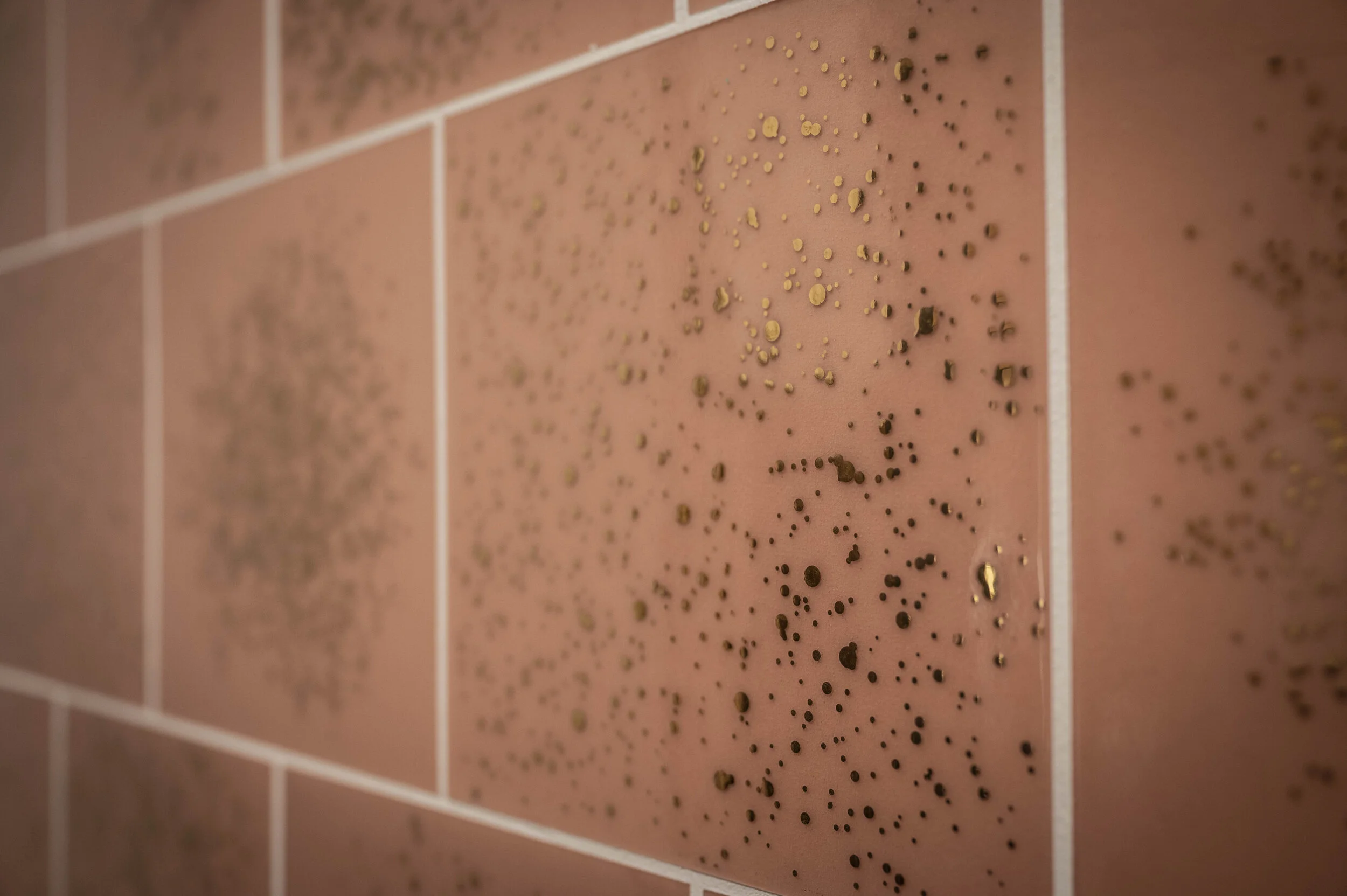 202 Shower 5.jpg