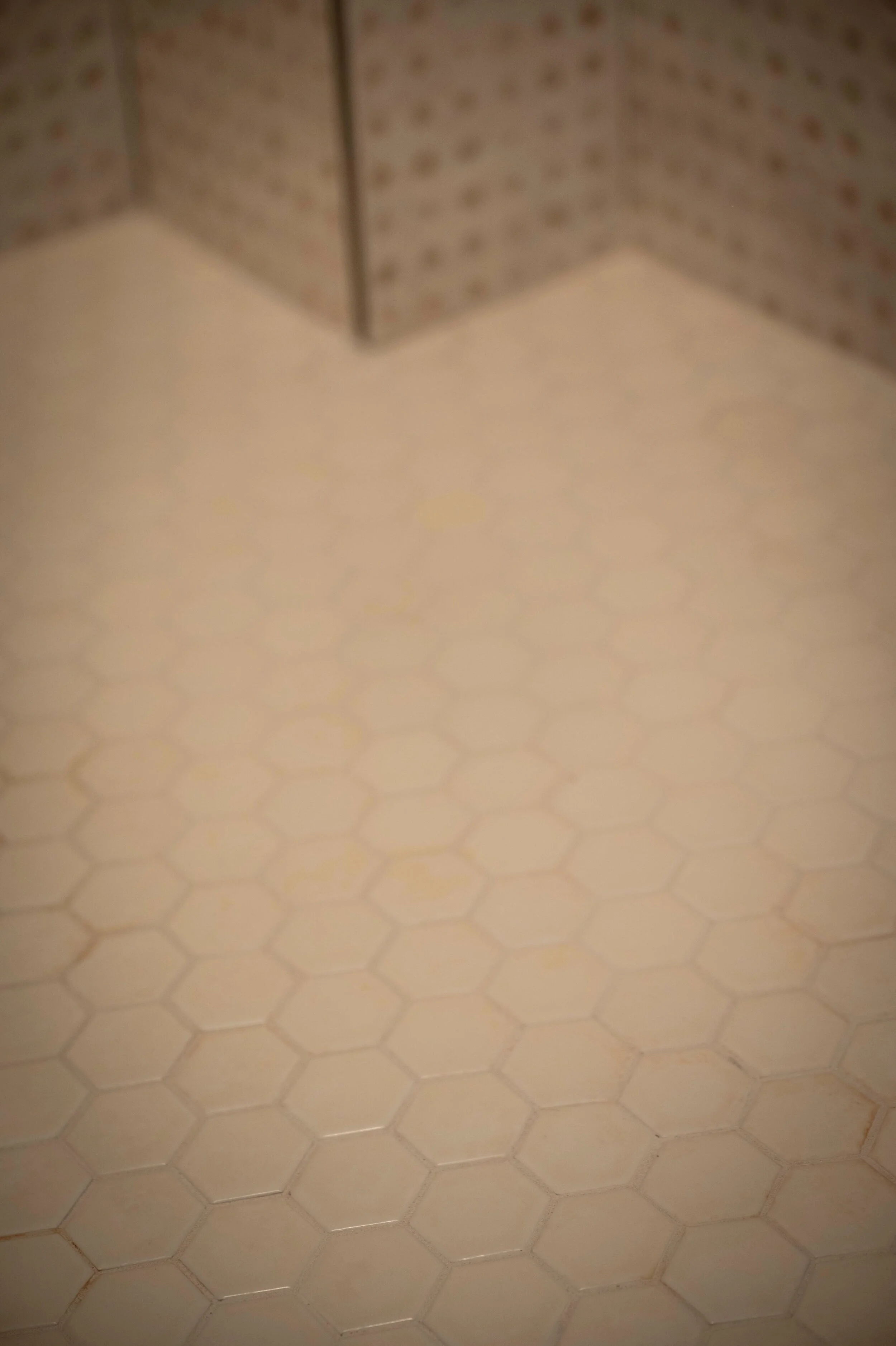 302+Shower+2.jpg