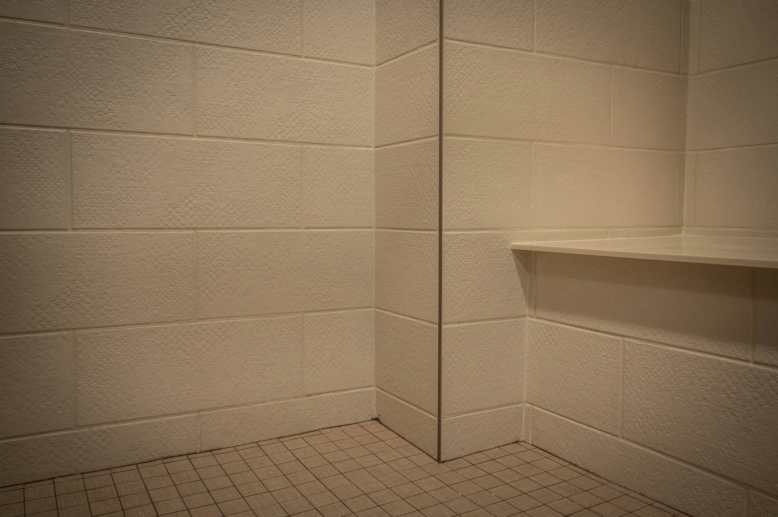 402 Shower 1.jpg
