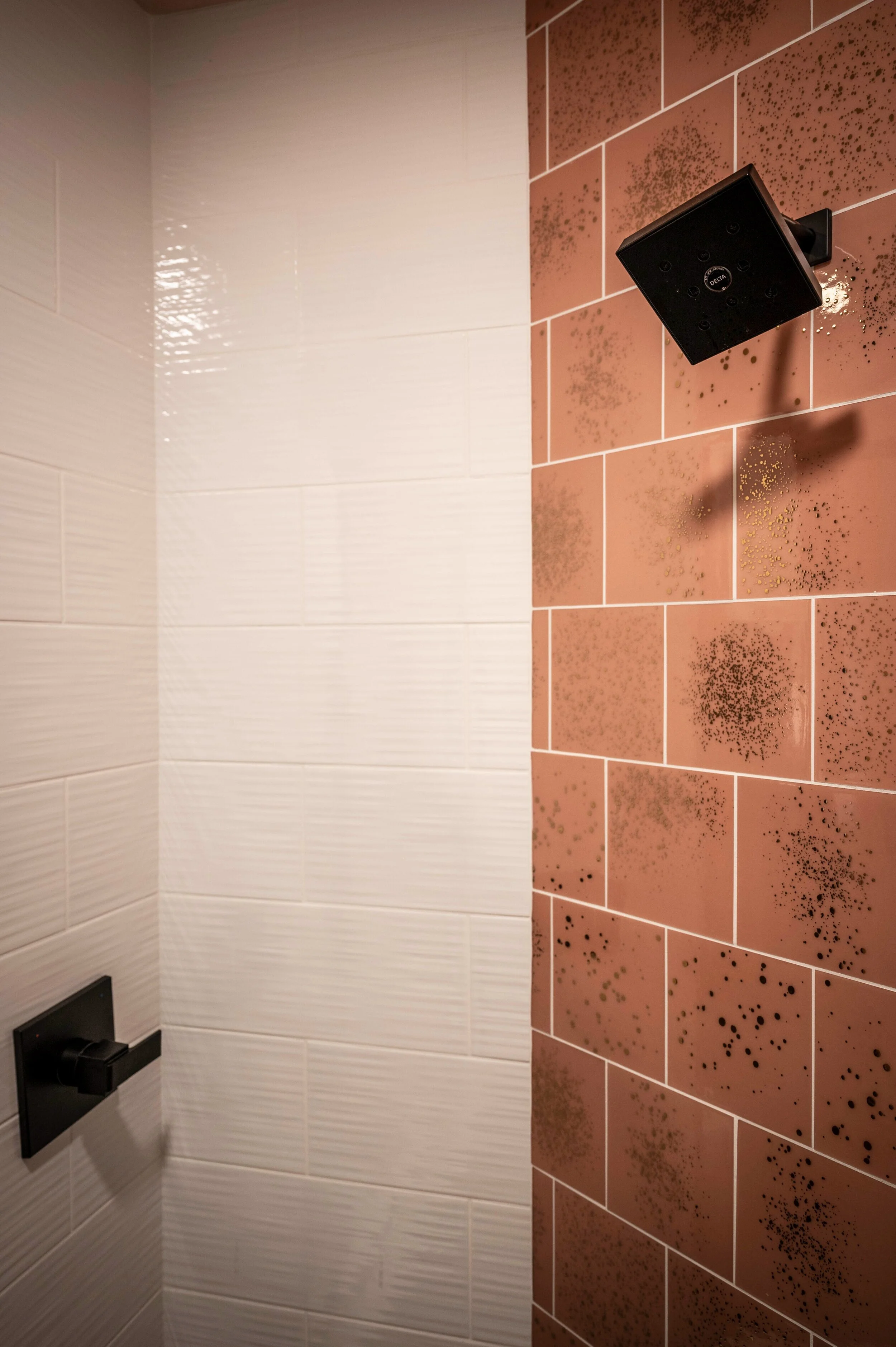 202+Shower+3.jpg