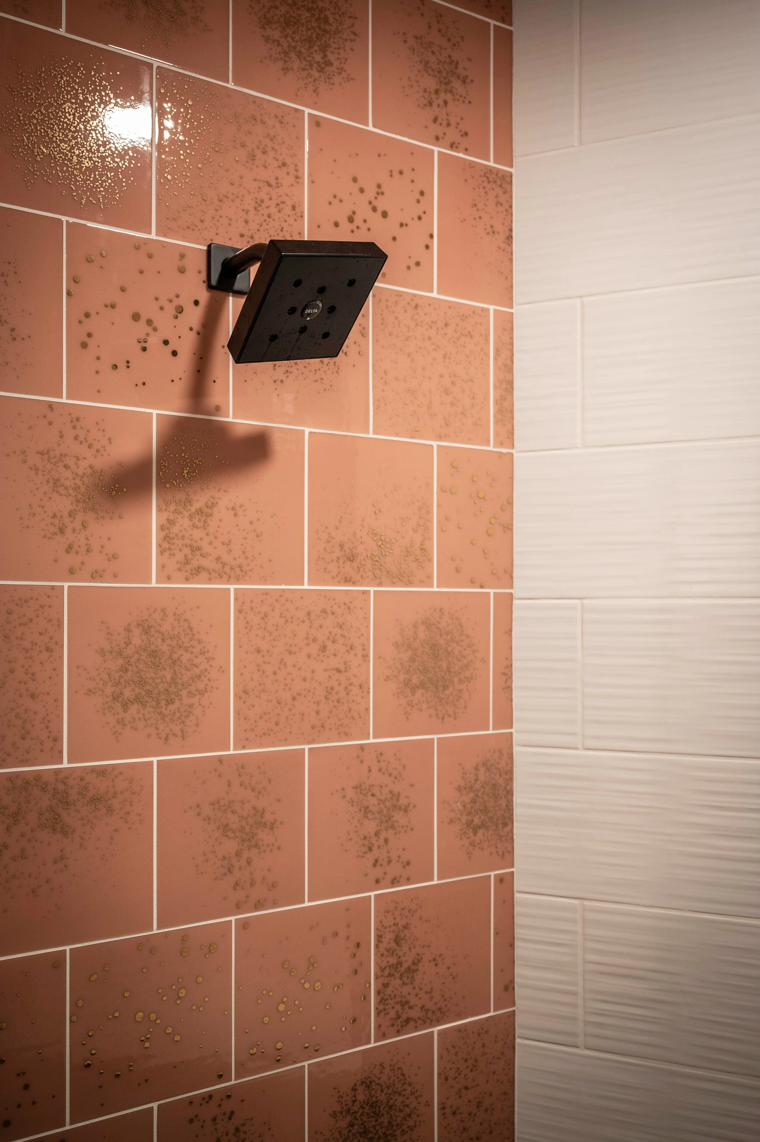202+Shower+4.jpg