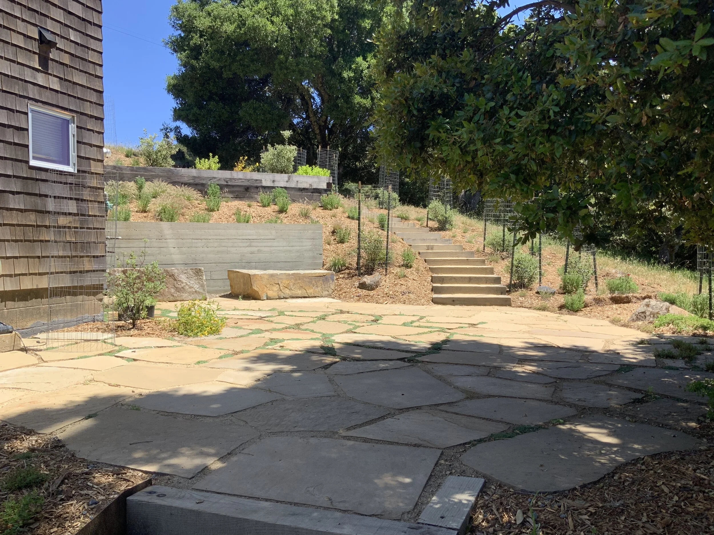 2019-06-04 14.08.05.jpg