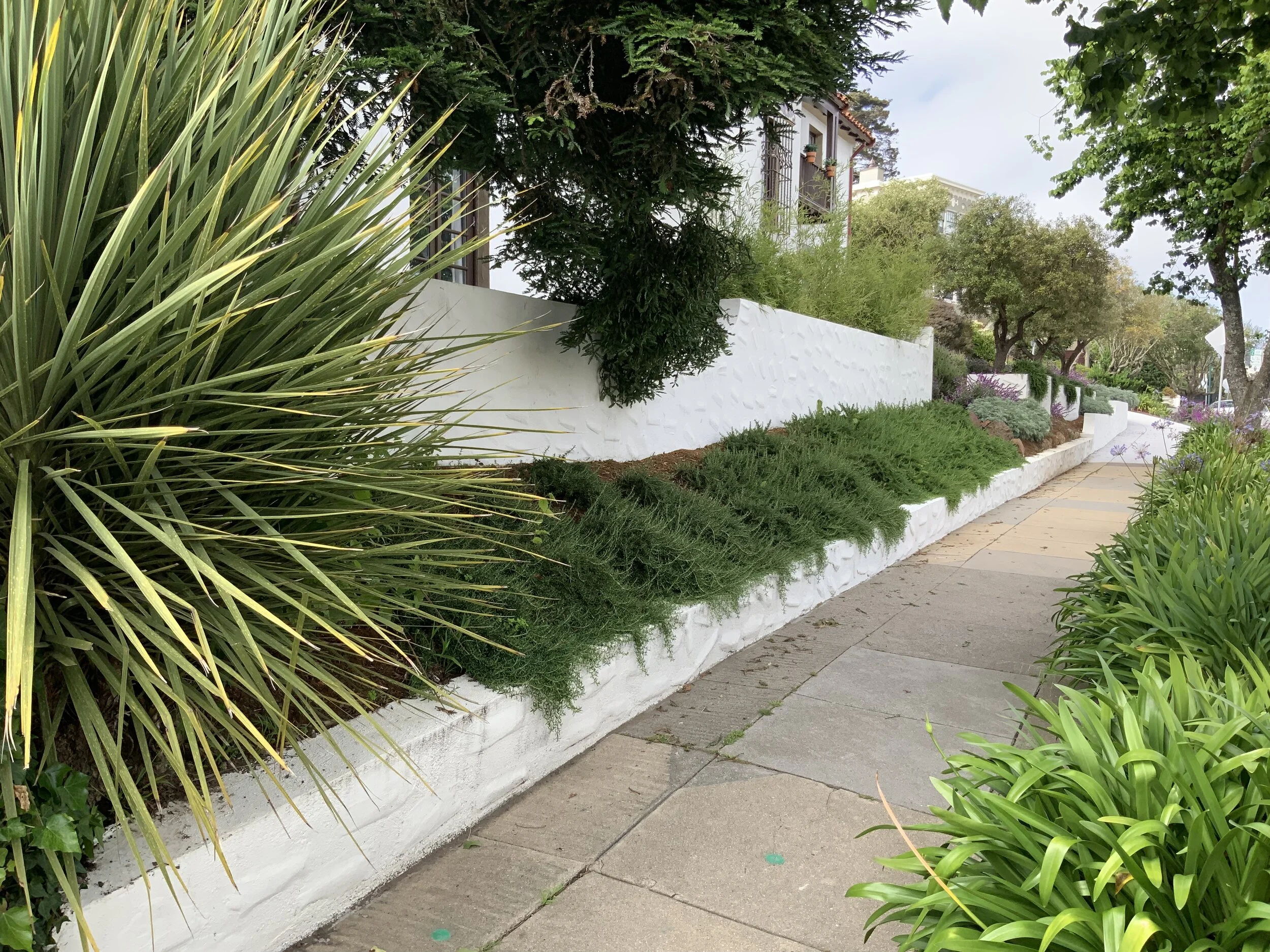 2019-06-20 17.16.04.jpg