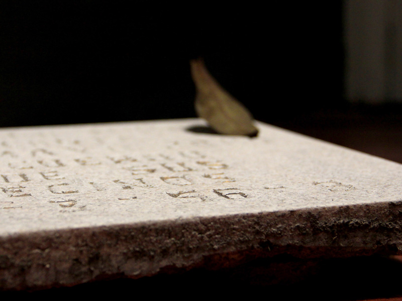  La vida de las cosas muertas / Instalación (Fragmentos de lápidas del Panteón de Dolores de Ciudad de México, hojas inmortalizadas, hilos, motores) / 2012     