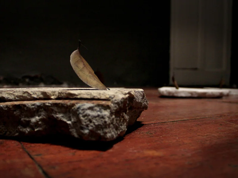 La vida de las cosas muertas / Instalación (Fragmentos de lápidas del Panteón de Dolores de Ciudad de México, hojas inmortalizadas, hilos, motores) / 2012