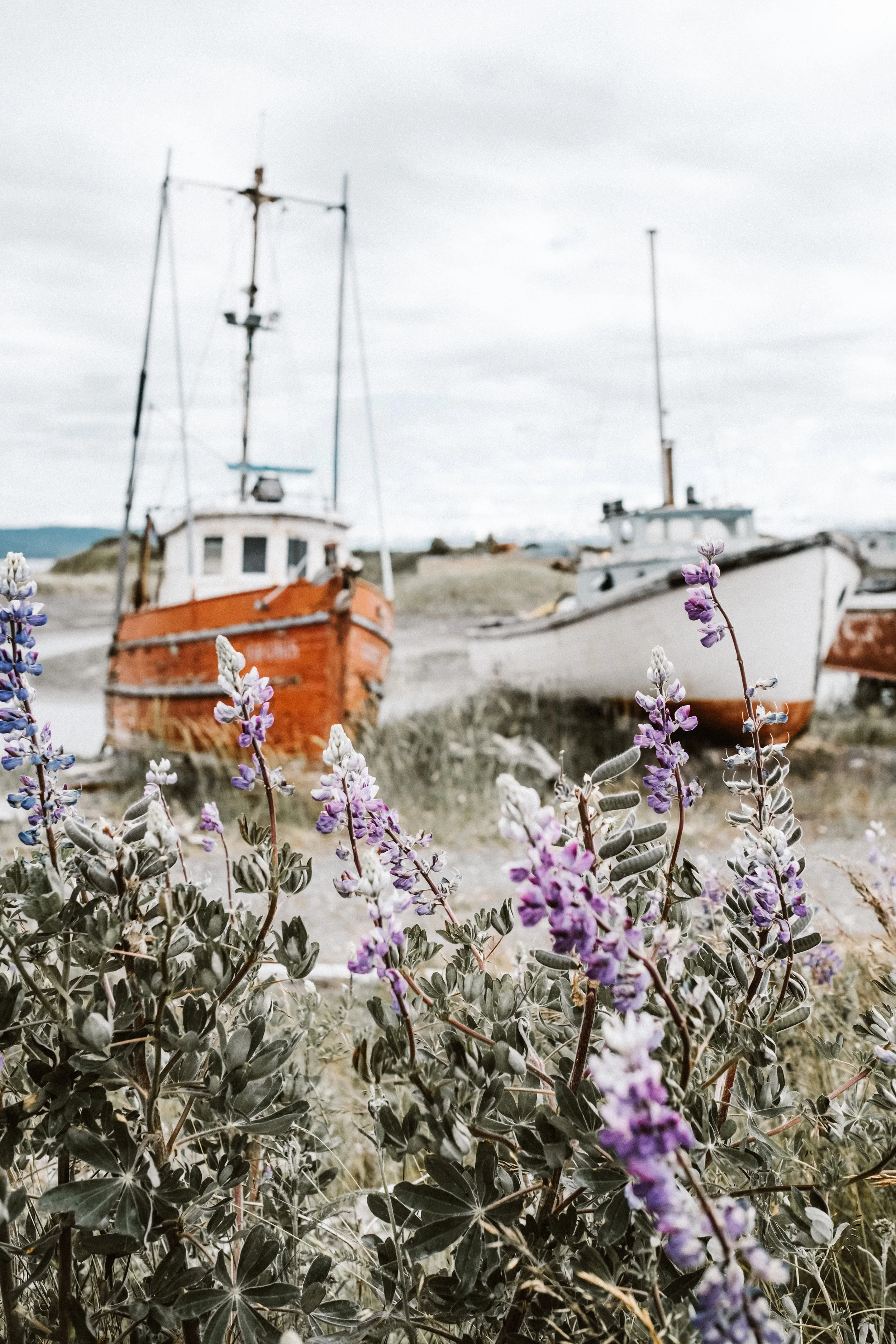 HomerAlaska-Boat.jpg