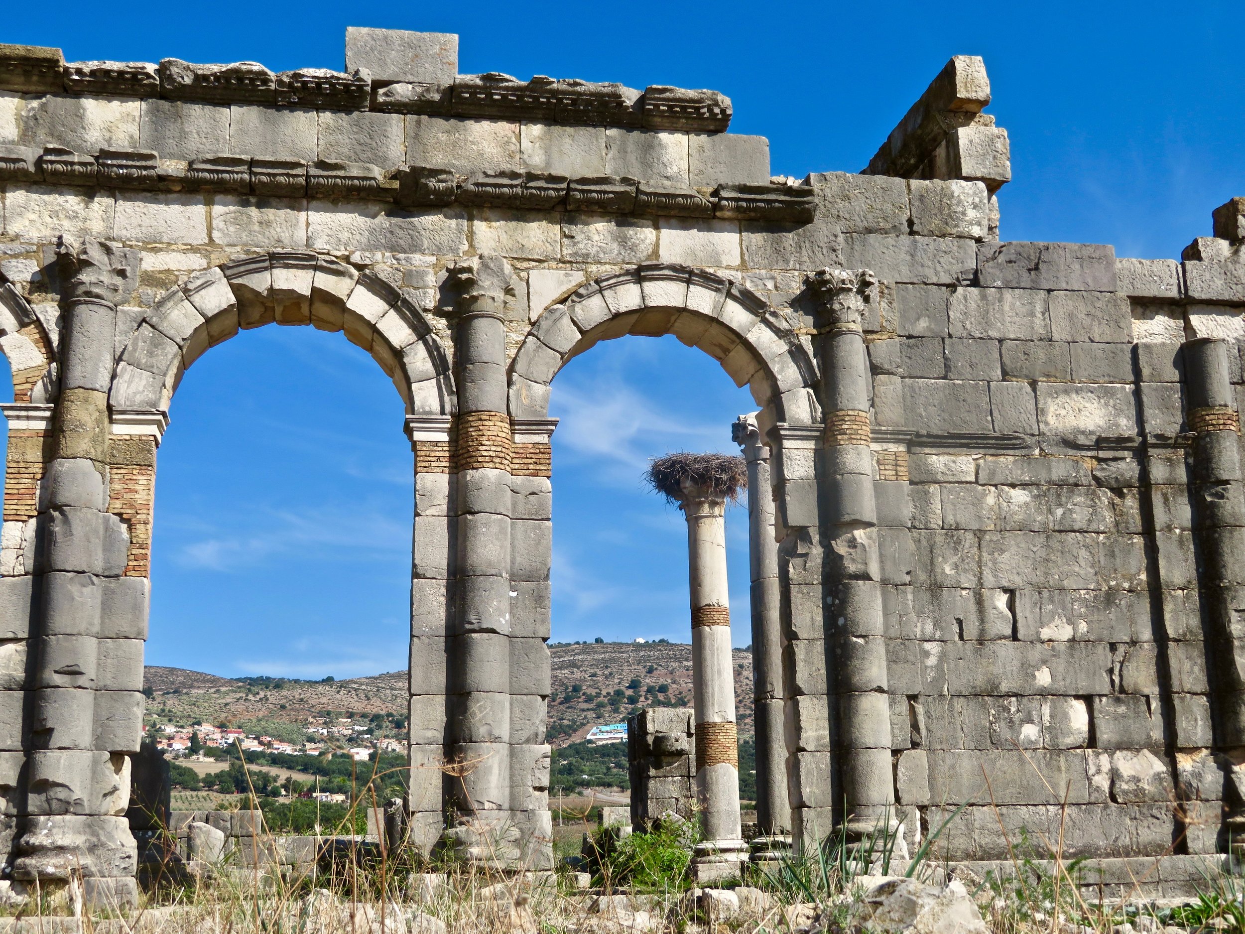 Stork's nest on Roman column, Volubilis