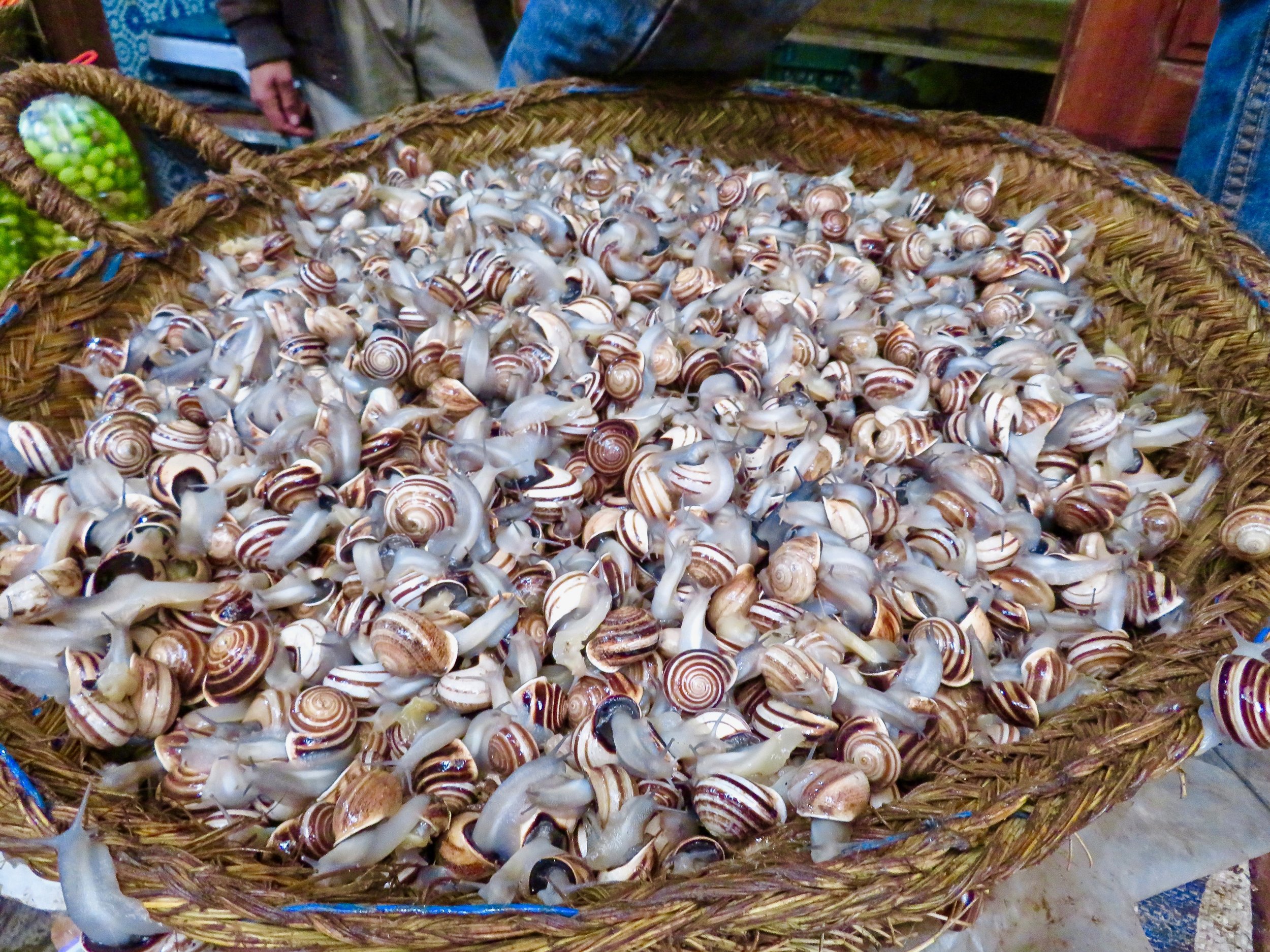 Escargot, before the garlic/butter sauce...