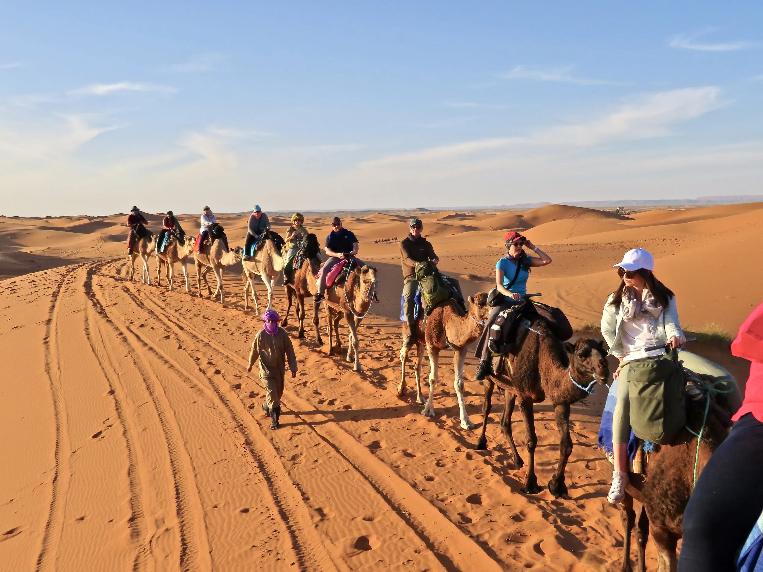 Our camel caravan