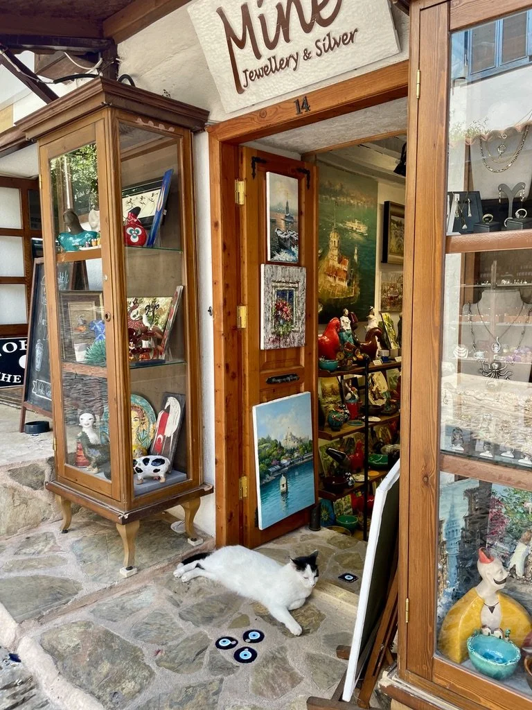 Meowza! Cats everywhere...