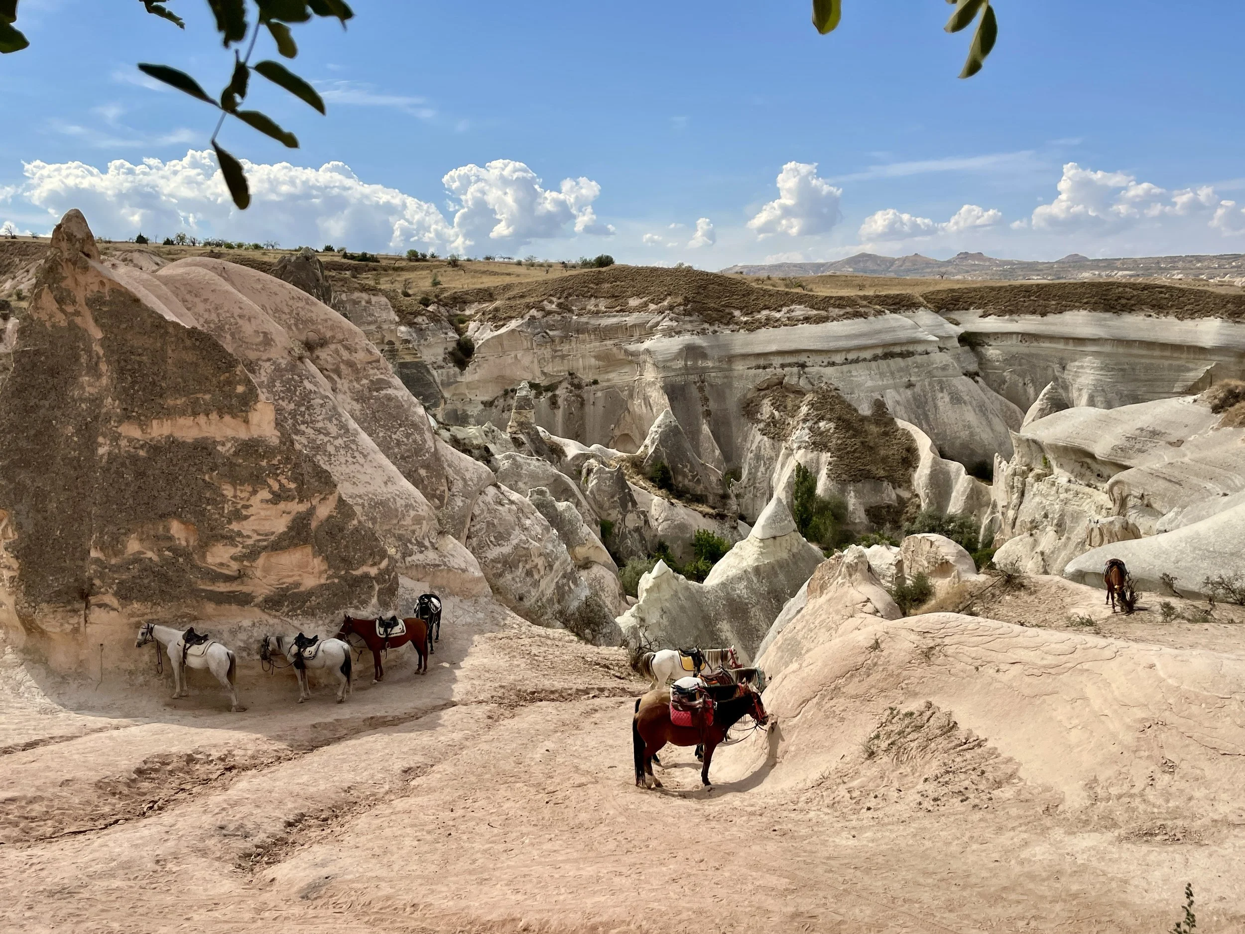 Aww...Cappadocia! A day trekker's dream...