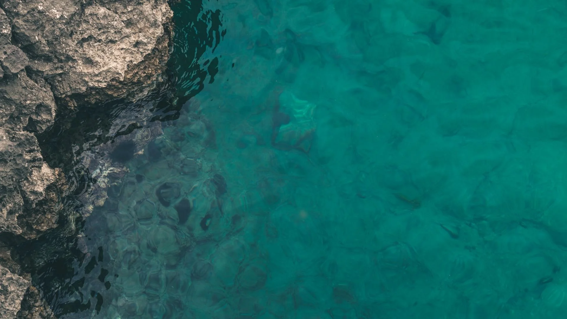 Dive In: Dedication &amp; Baptism Class (MTG TWO OF TWO)