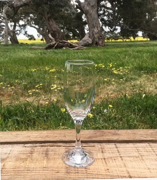 Champagne Glass 60 cents each