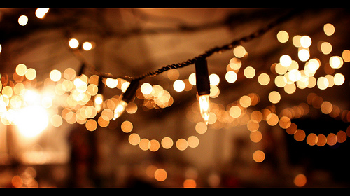 Fairy Lights