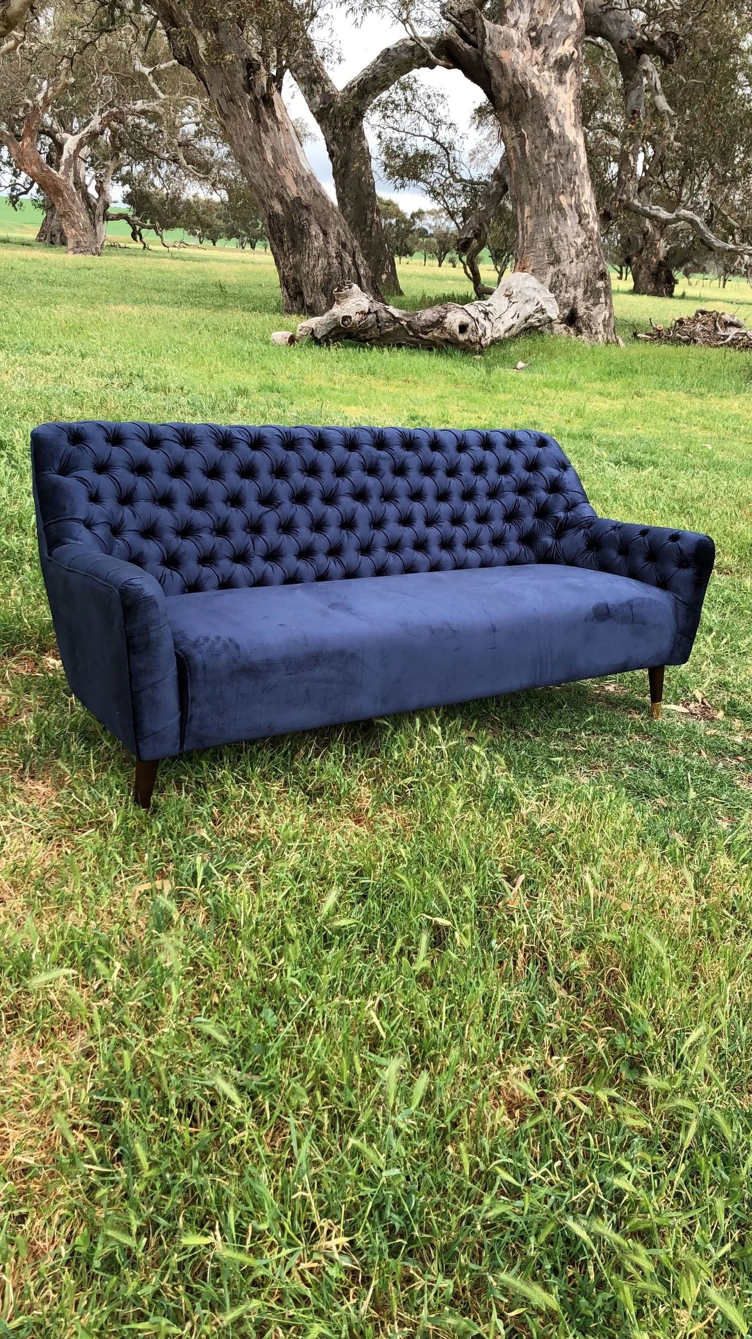 Midnight LoungeQty-1