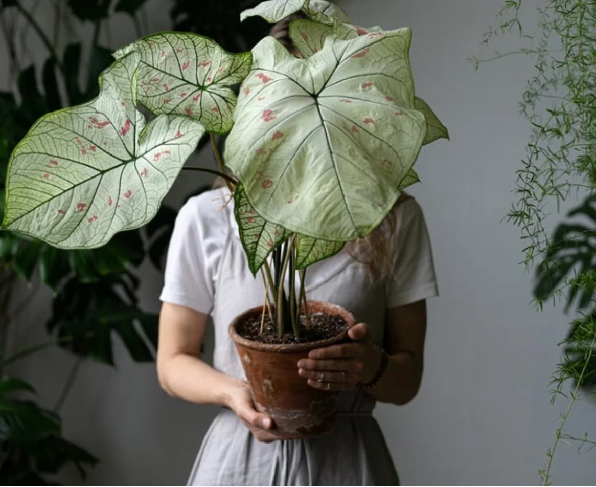 GARDENERS, WE GOT YOUR BACK