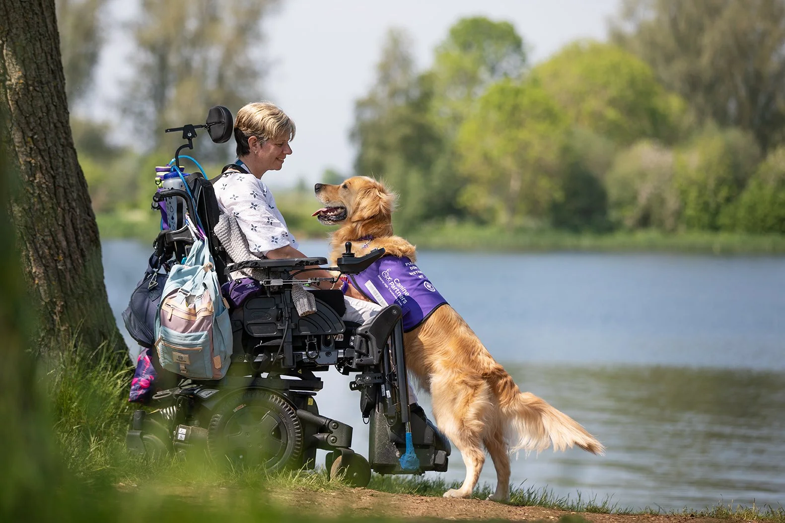 andy-bate-woman-wheelchair-assistance-dog-lake-motability.jpg