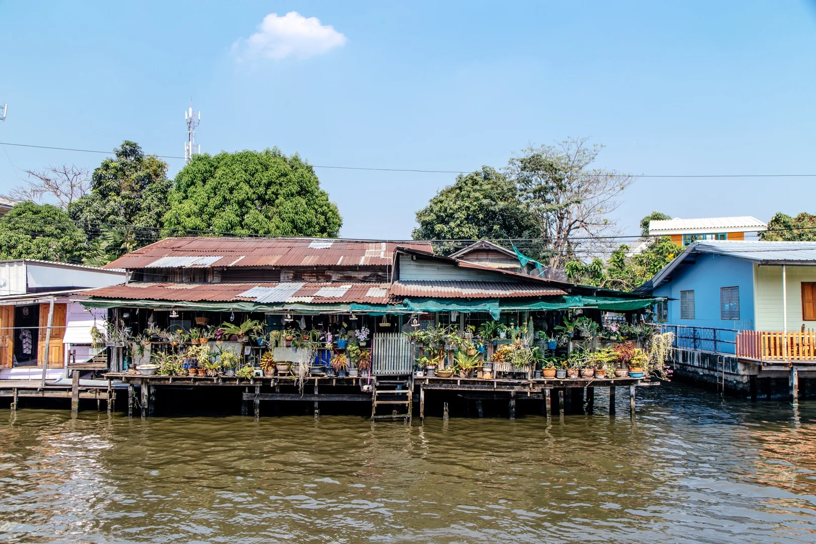 HIDDEN BANGKOK La Maison Des Artistes POLLEN