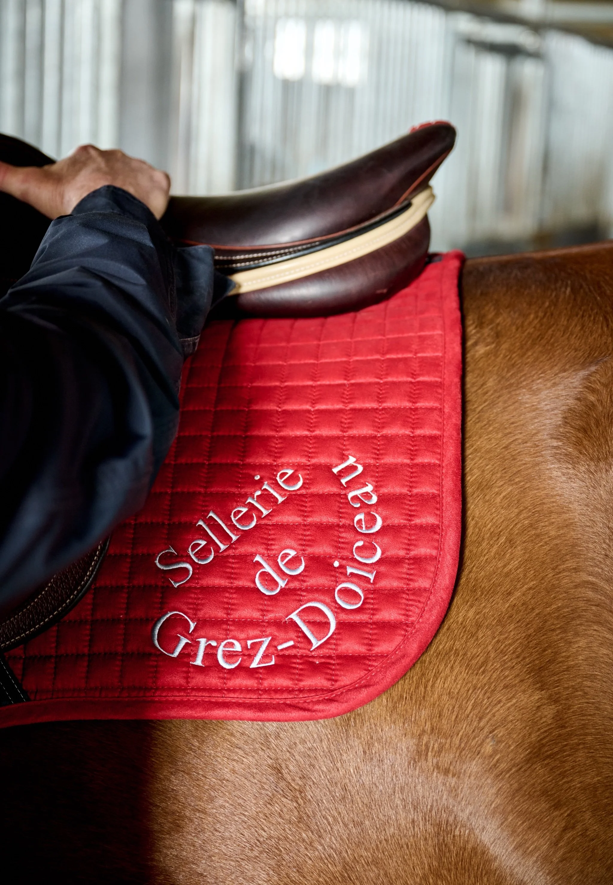 L’homme qui écoute les chevaux