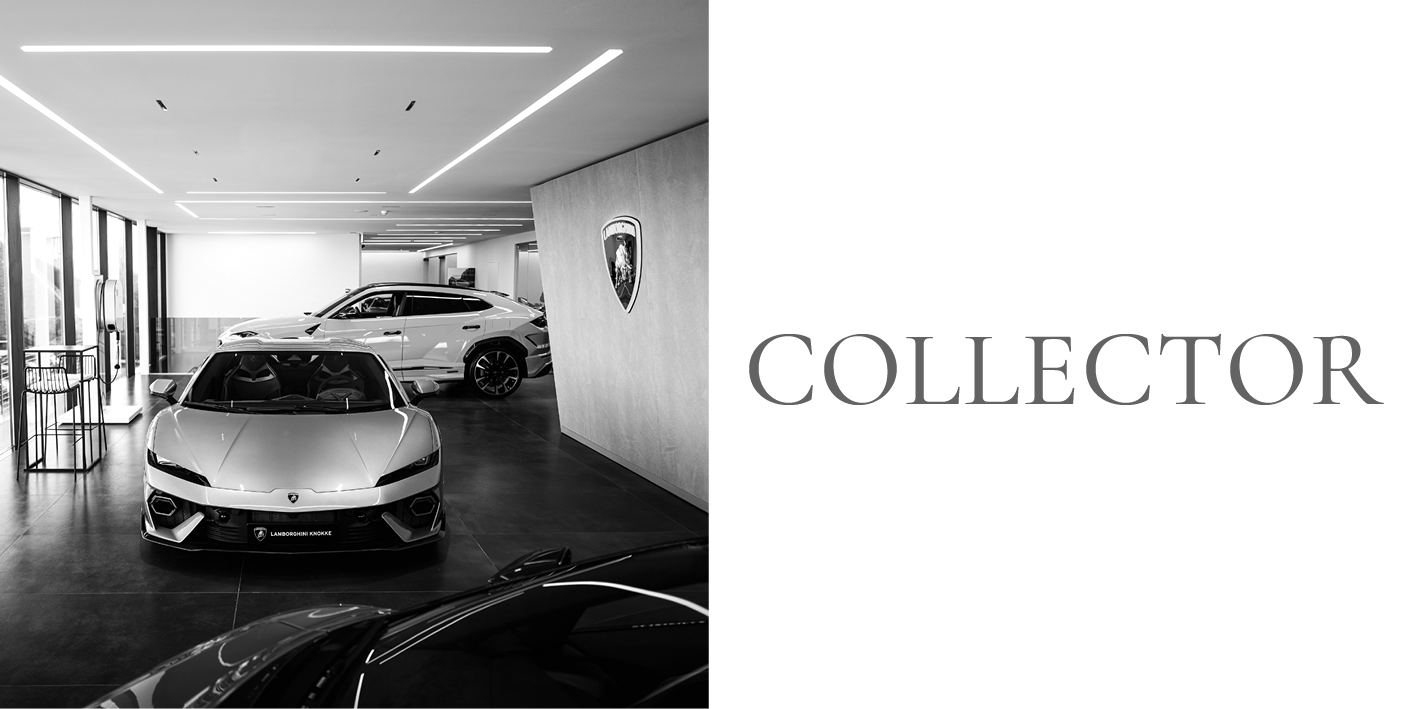 02-COLLECTOR.png