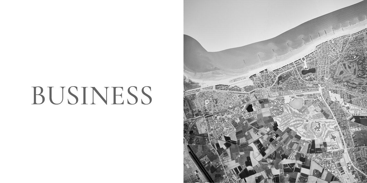 01-BUSINESS.png