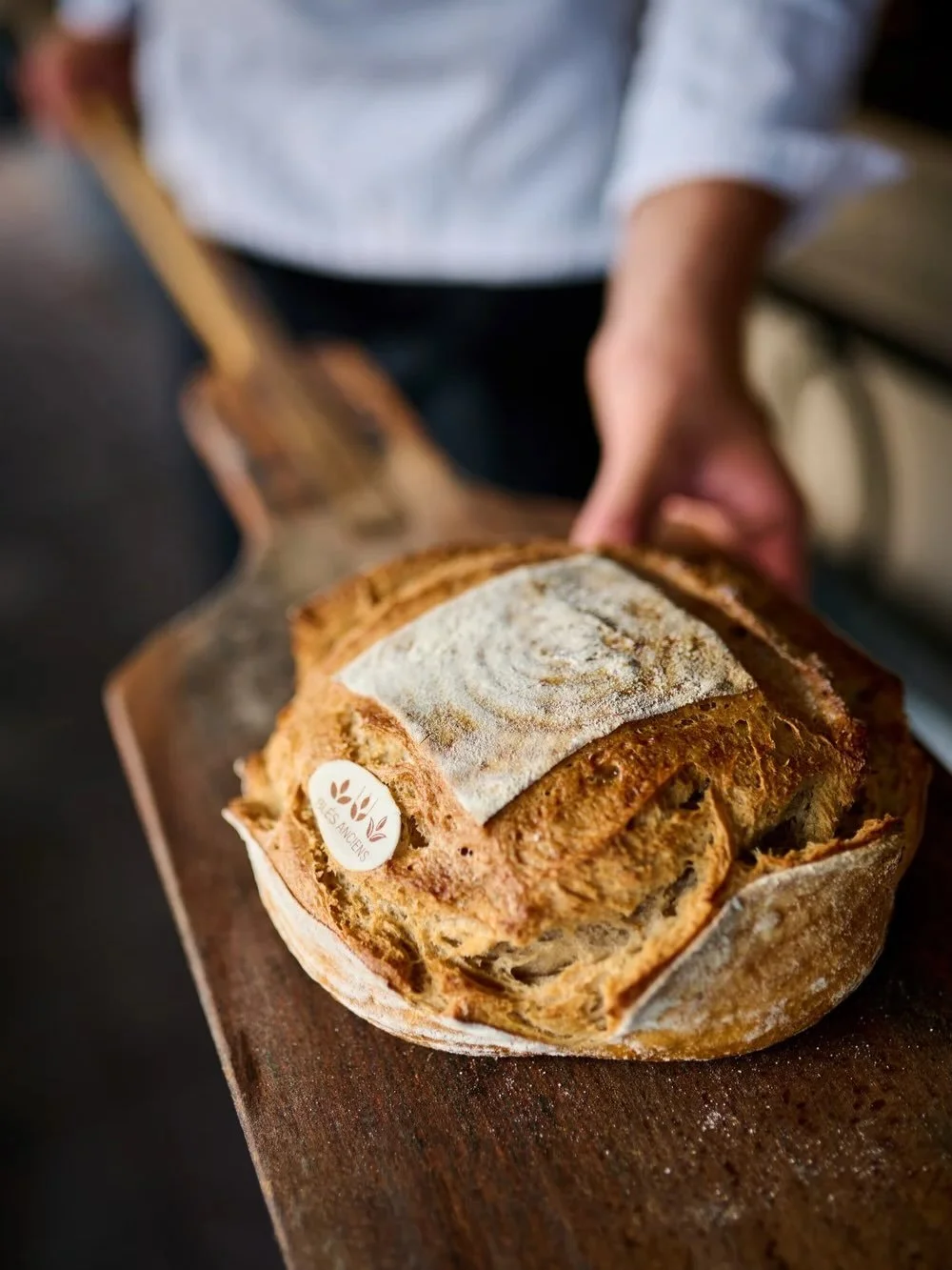 DEUX ADRESSES, UNE M&Ecirc;ME &Eacute;NERGIE

Go with the flow&nbsp;: voil&agrave; bien une devise qui pourrait &ecirc;tre celle de la boulangerie De Baere, &agrave; Knokke. Apr&egrave;s un d&eacute;m&eacute;nagement forc&eacute; l&rsquo;an dernier p